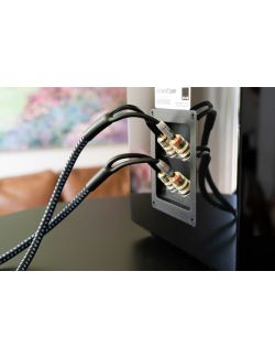 SVS - SoundPath Ultra Bi-Wire 20FT - Mixed