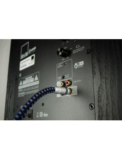 SVS-SP-RCASUB5M