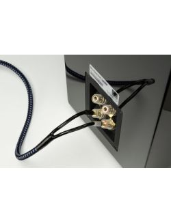 SVS-SP-ULTSPKBAN12F